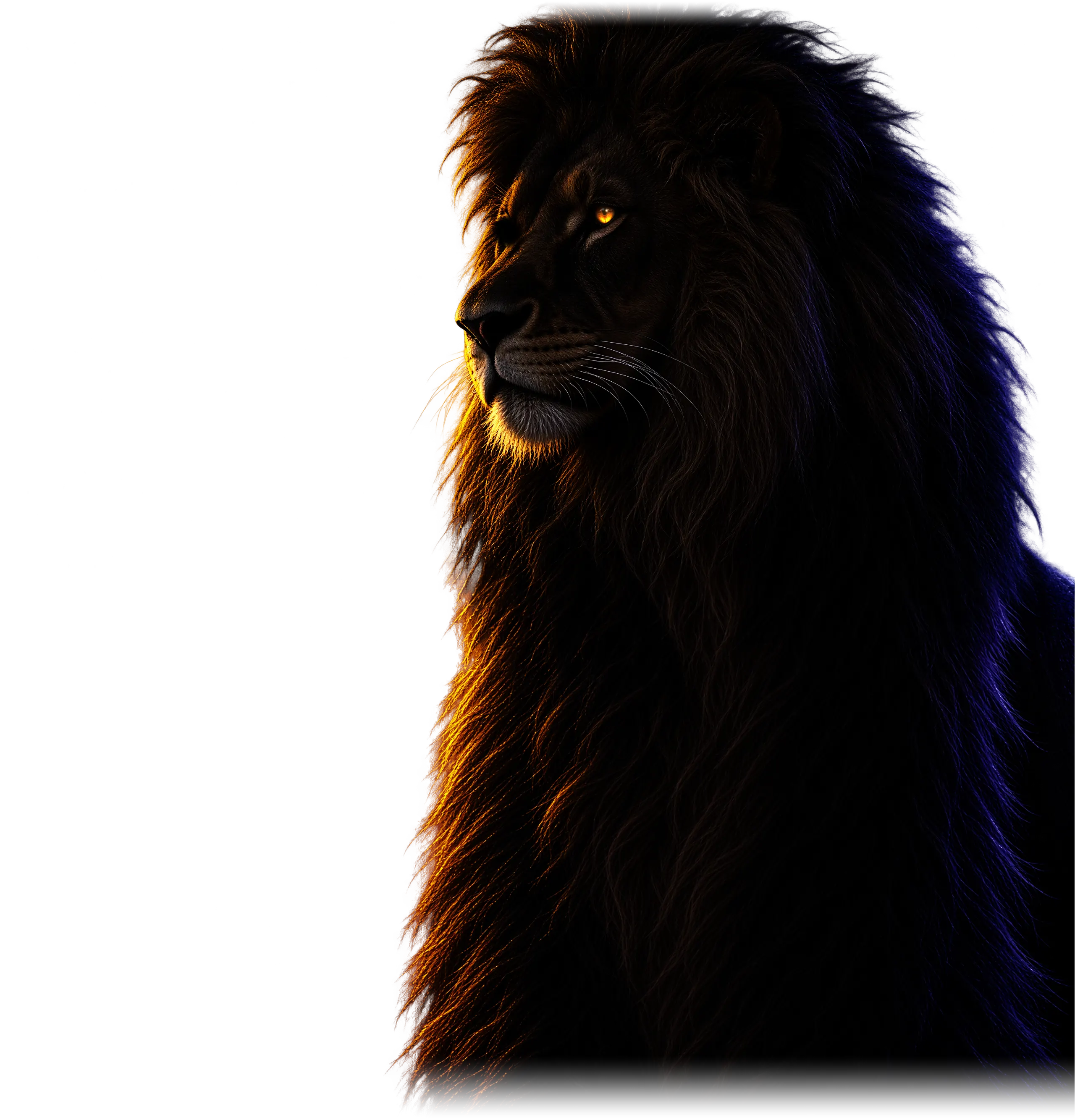 A lion in three-quarter view, lit in orange by the glass aditio mark it is staring at.